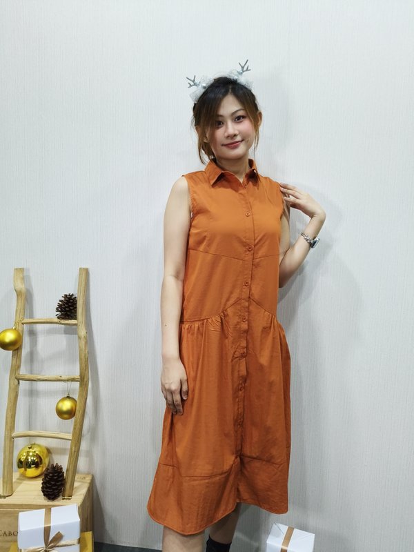 IONA SLEEVELESS WITH COLLAR DRESS