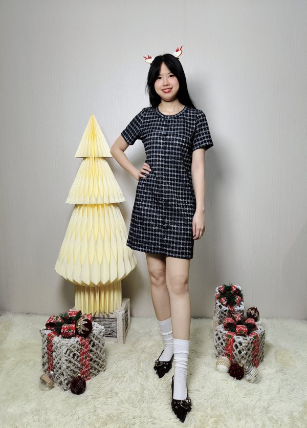 SARA SHORT SLEEVE TWEED KNIT DRESS