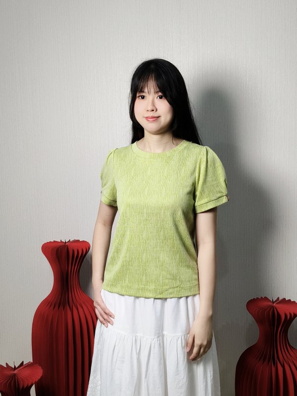 OLLIE TEXTURED PUFF SLEEVE TOP (TS73583)